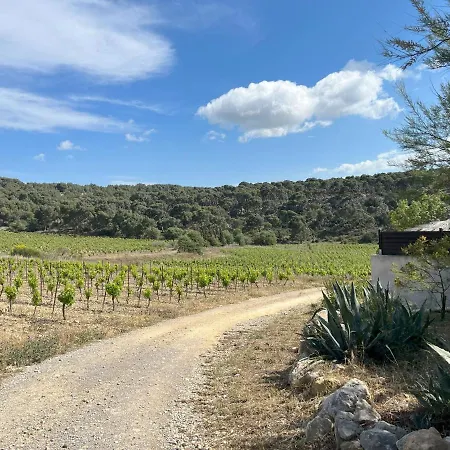 Gite De 6 Personnes, Au Coeur D'un Domaine Viticole Holiday home Gruissan